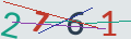 verifycode